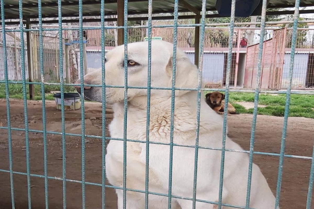 HAYVAN BARINAĞI ZİYARETİMİZ